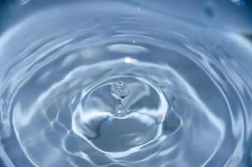 Coffee Brewing and Water Quality