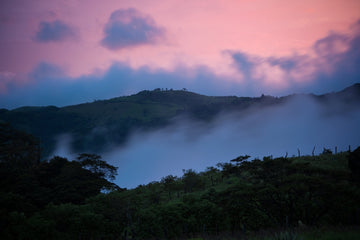Costa Rica: Diversity, Culture, and Coffee | Mauch Chunk Coffee Company