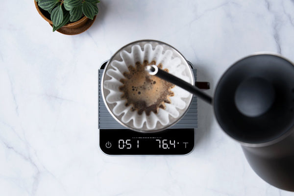 Acaia Pearl Coffee Scale - Mauch Chunk Coffee Company