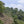 Colombian Valle del Cauca - Mauch Chunk Coffee Company