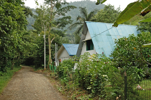 Costa Rican San Lorenzo Tarrazu - Mauch Chunk Coffee Company