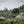 Ethiopian East Harrar Abidir - Mauch Chunk Coffee Company