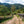 Papua New Guinean Mount Bosavi Reserve - Mauch Chunk Coffee Company