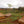 Papua New Guinean Mount Bosavi Reserve - Mauch Chunk Coffee Company